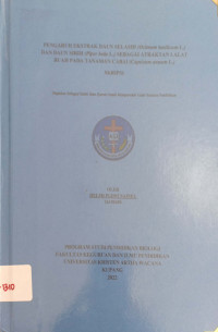 Pengaruh Ekstrak Daun Selasih(Ocimum basillicum L) dan Dau sirih (Piper Betle L.)sebagai Atraktan Lalat buah Pada Tanaman Cabai(Capsicum annum L)